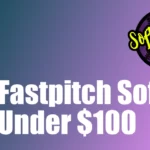Best Fastpitch Softball Bat Under $100 Best Fastpitch Bat Under $100